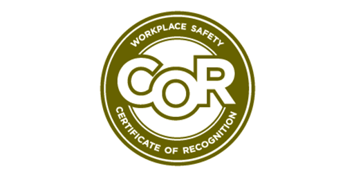 dvps--safety_cor.png